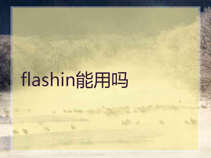 flashin能用吗 flashin能用吗