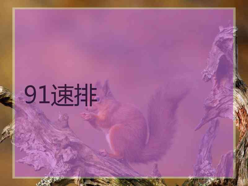 91速排 91速排