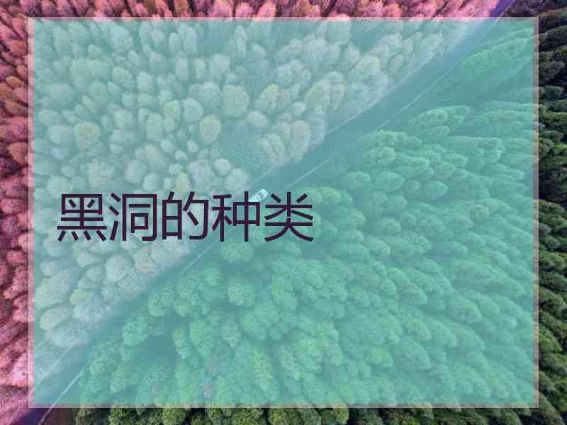 黑洞的种类 黑洞的种类