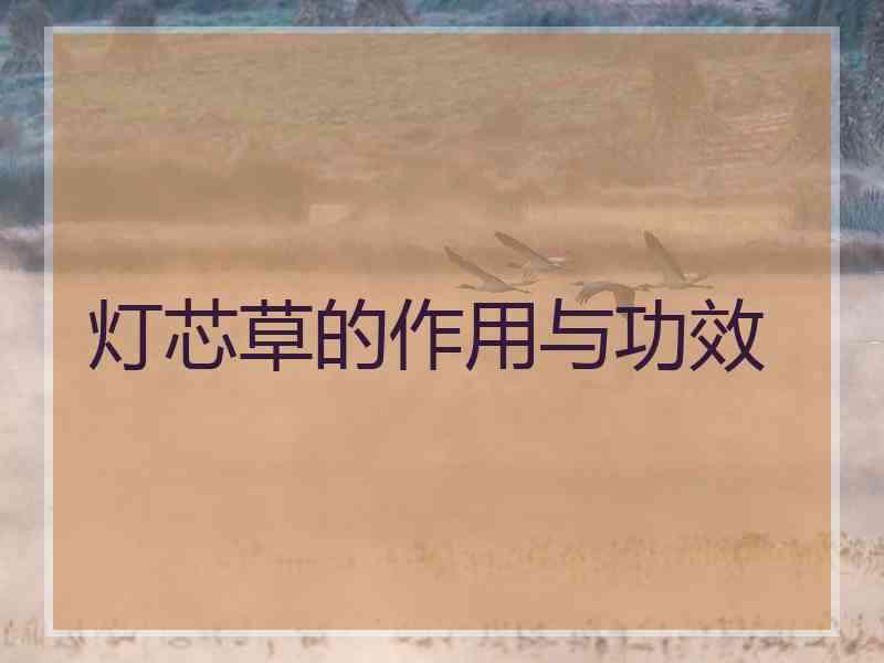 灯芯草的作用与功效 灯芯草的作用与功效