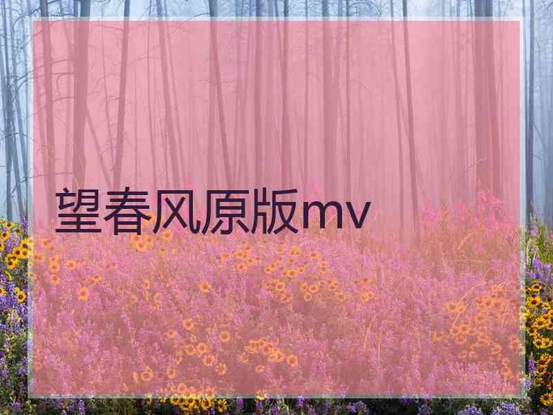 望春风原版mv 望春风原版mv
