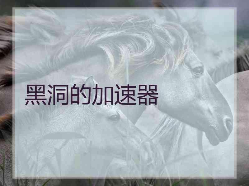 黑洞的加速器 黑洞的加速器