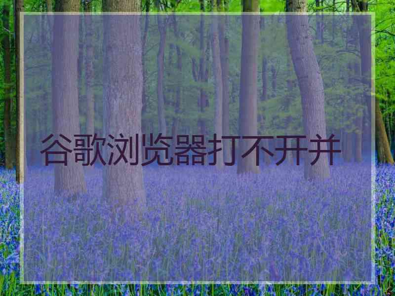 谷歌浏览器打不开并 谷歌浏览器打不开并