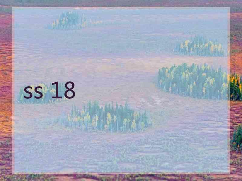 ss 18 ss 18