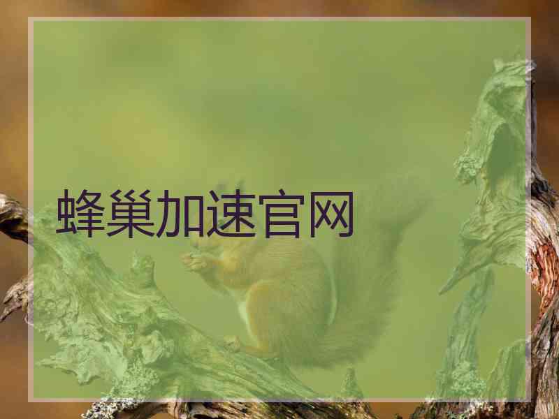 蜂巢加速官网