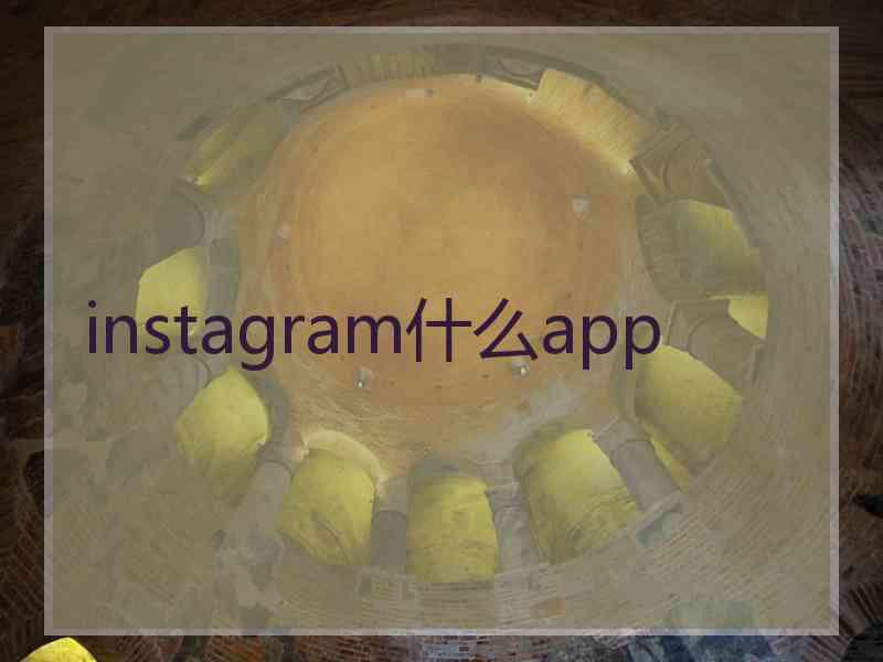 instagram什么app