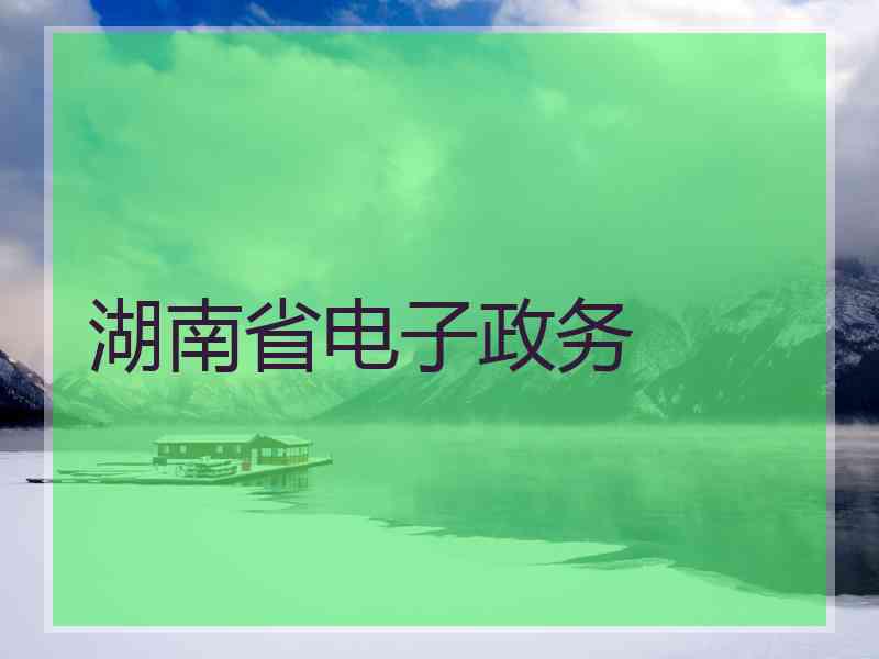 湖南省电子政务