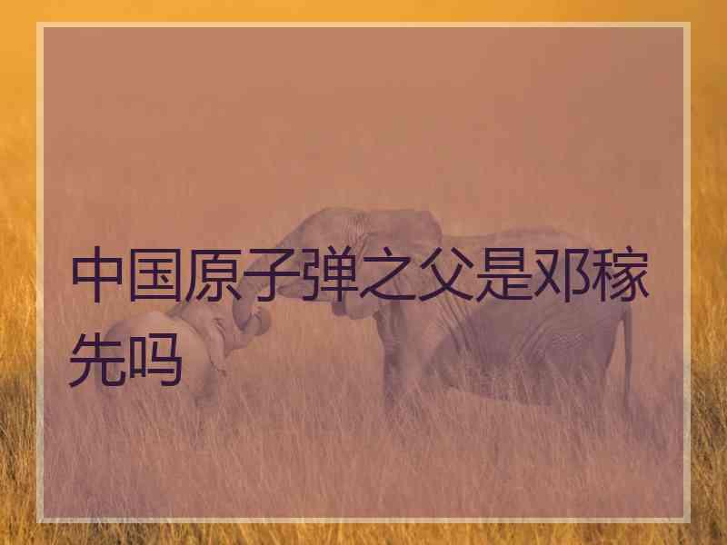 中国原子弹之父是邓稼先吗
