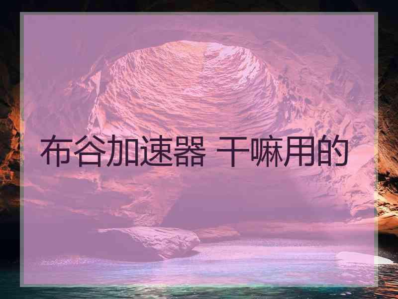 布谷加速器 干嘛用的