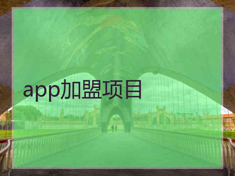 app加盟项目