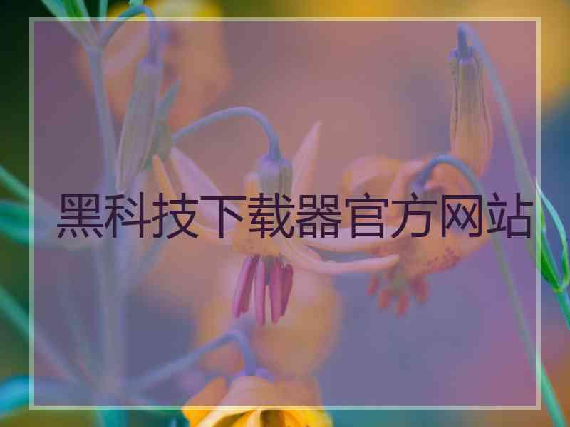 黑科技下载器官方网站