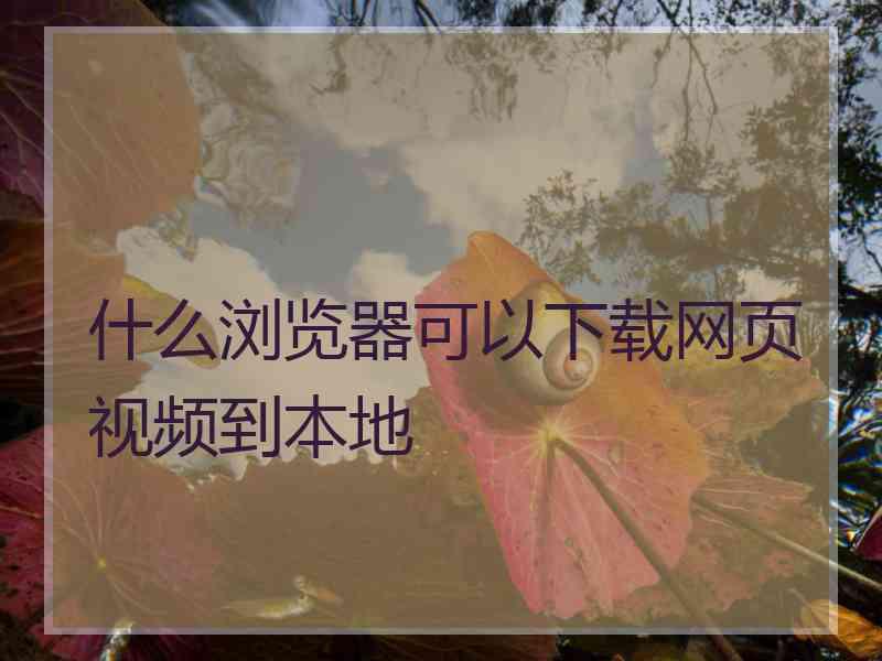 什么浏览器可以下载网页视频到本地