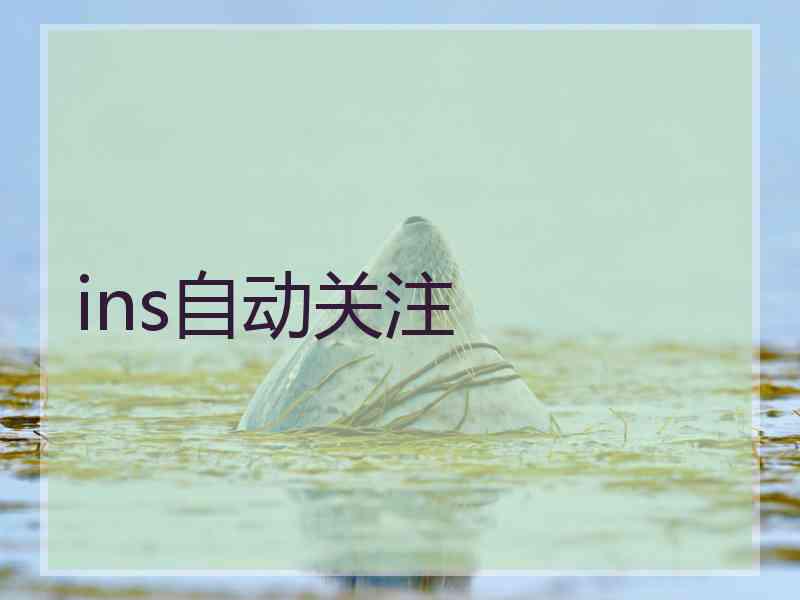 ins自动关注