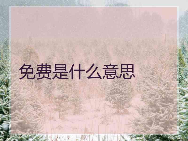 免费是什么意思