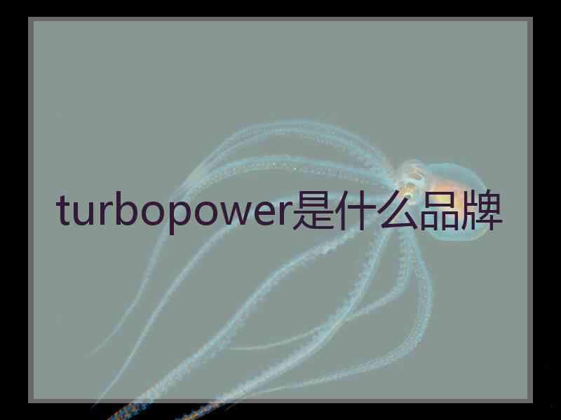 turbopower是什么品牌