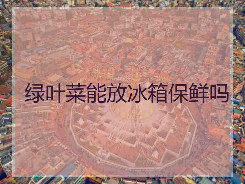 绿叶菜能放冰箱保鲜吗