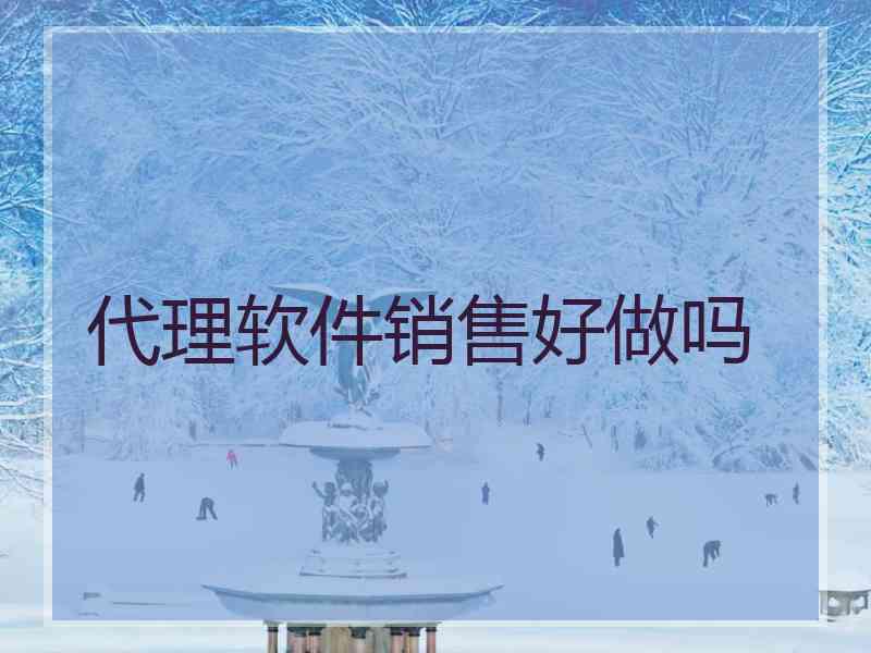 代理软件销售好做吗
