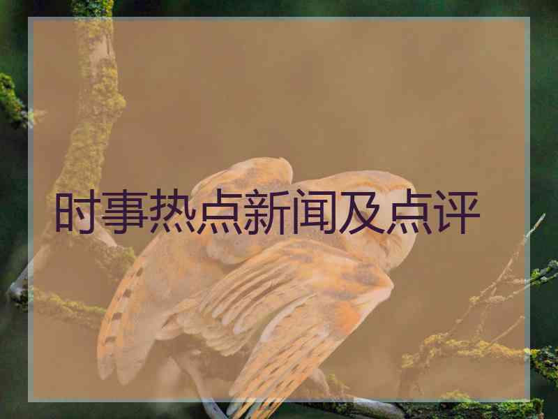 时事热点新闻及点评