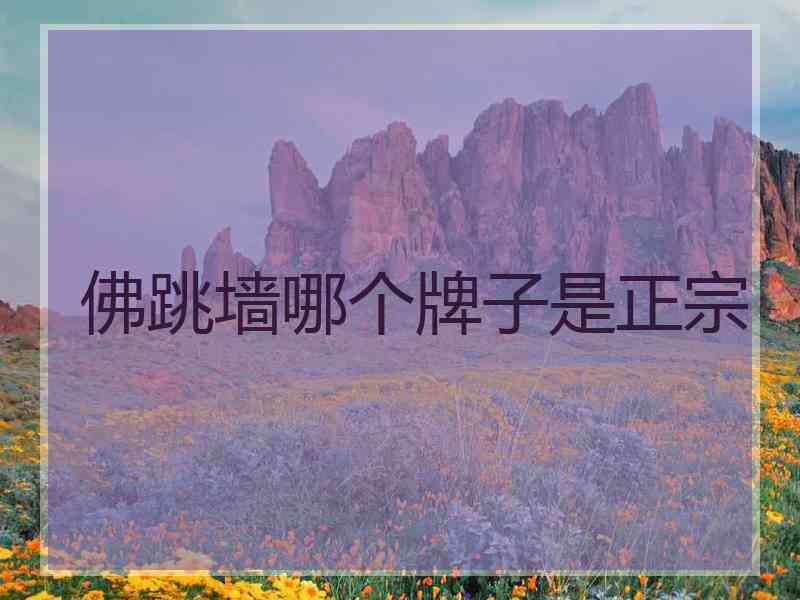 佛跳墙哪个牌子是正宗