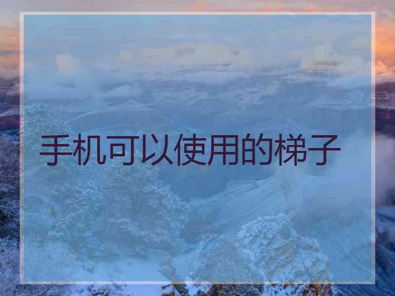 手机可以使用的梯子