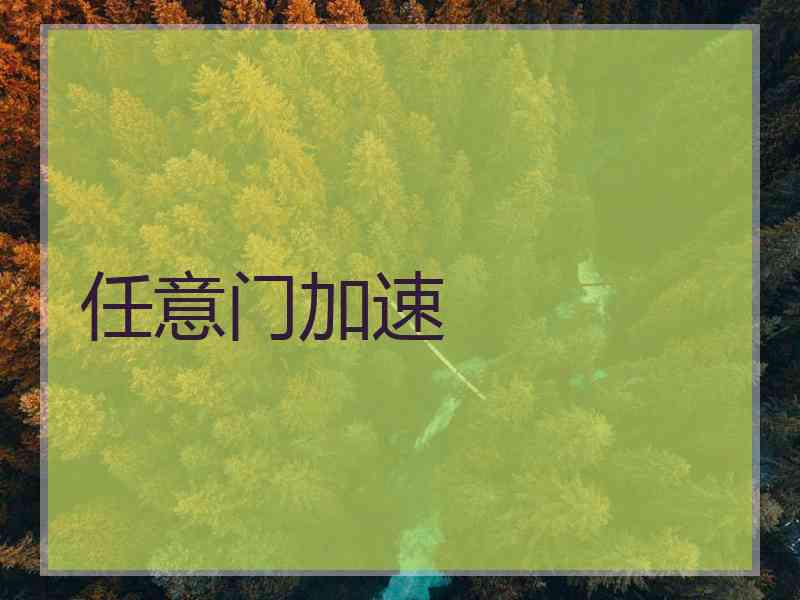 任意门加速
