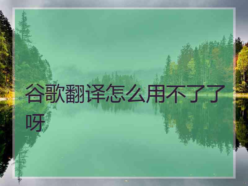 谷歌翻译怎么用不了了呀