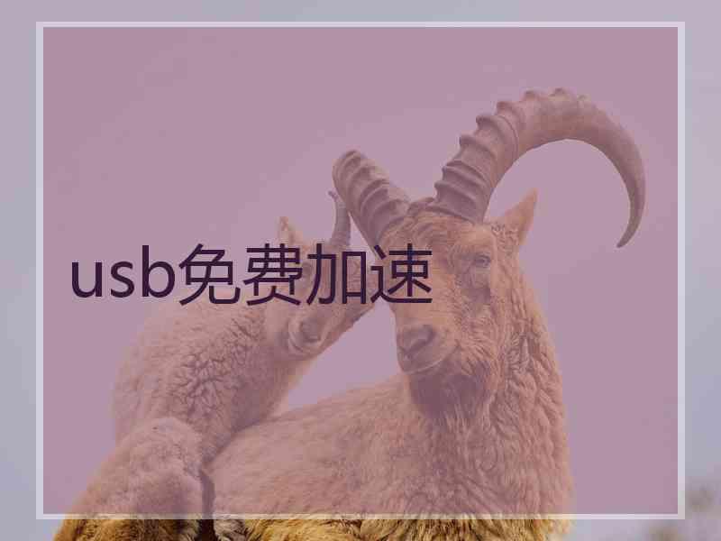 usb免费加速