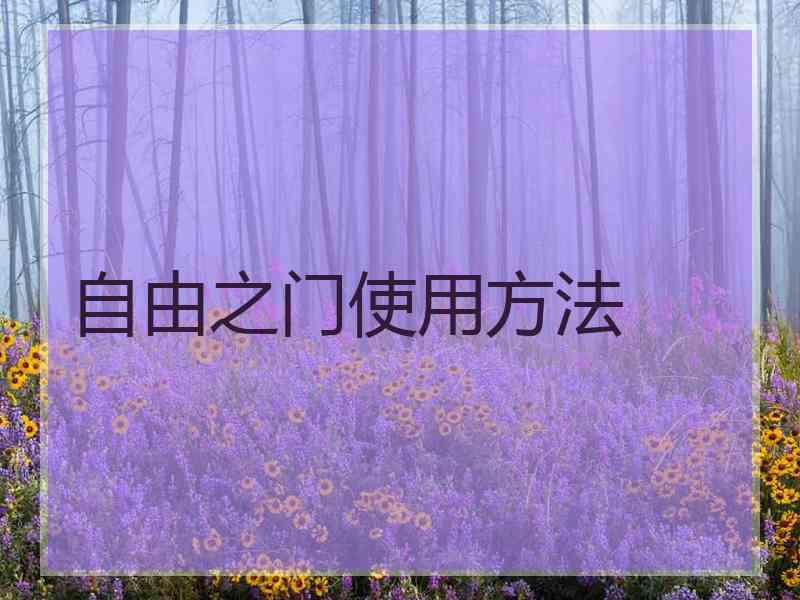 自由之门使用方法