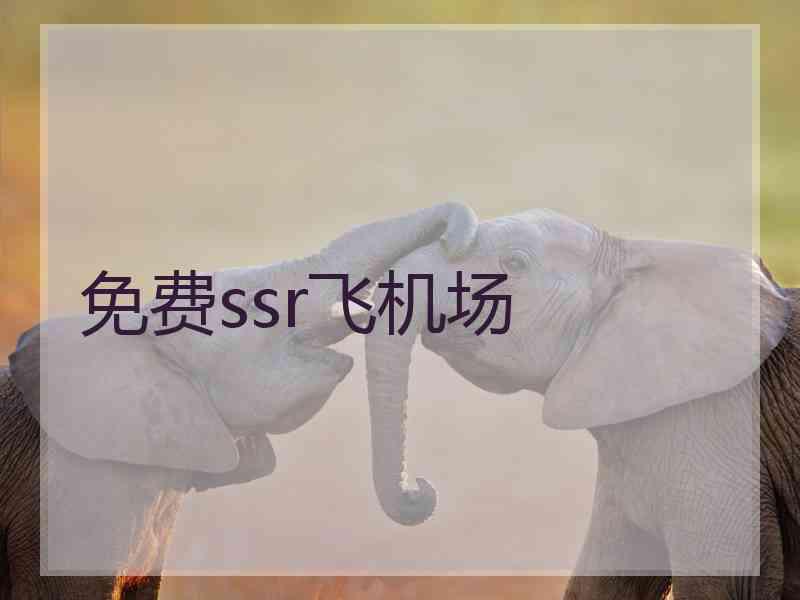 免费ssr飞机场