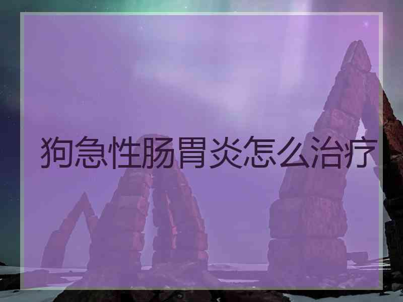 狗急性肠胃炎怎么治疗
