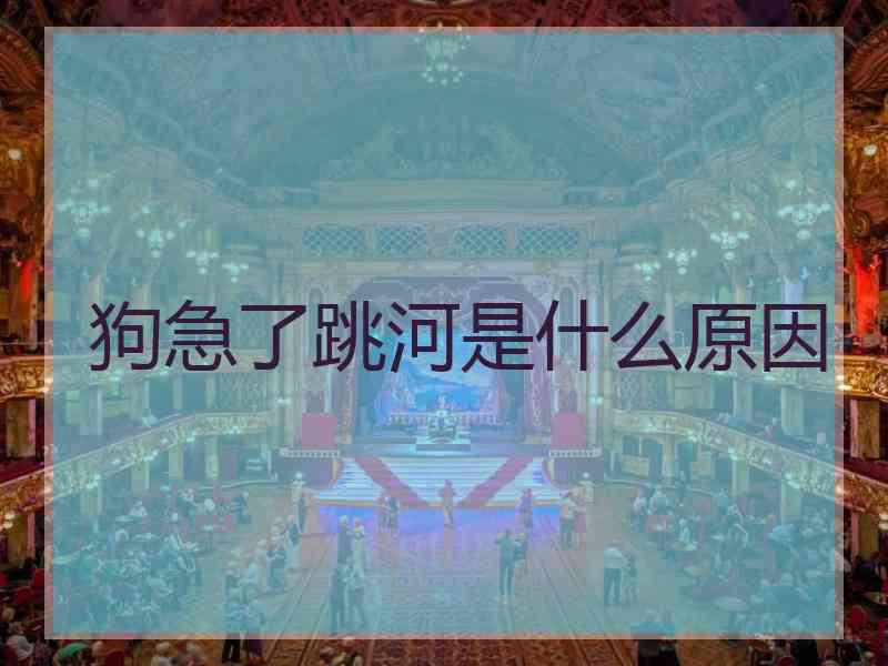 狗急了跳河是什么原因