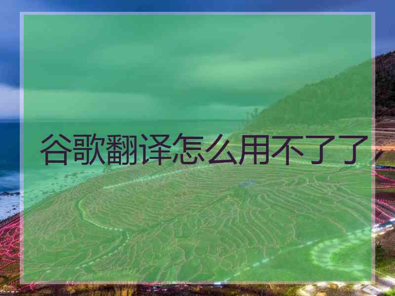 谷歌翻译怎么用不了了