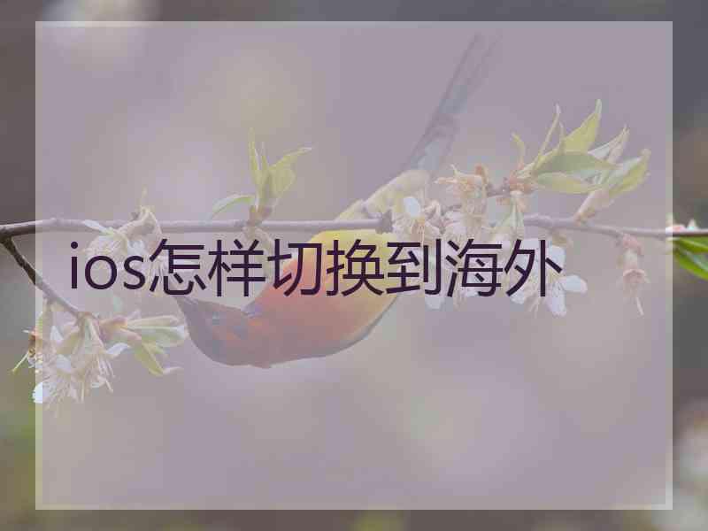 ios怎样切换到海外