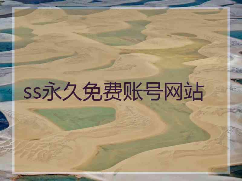 ss永久免费账号网站