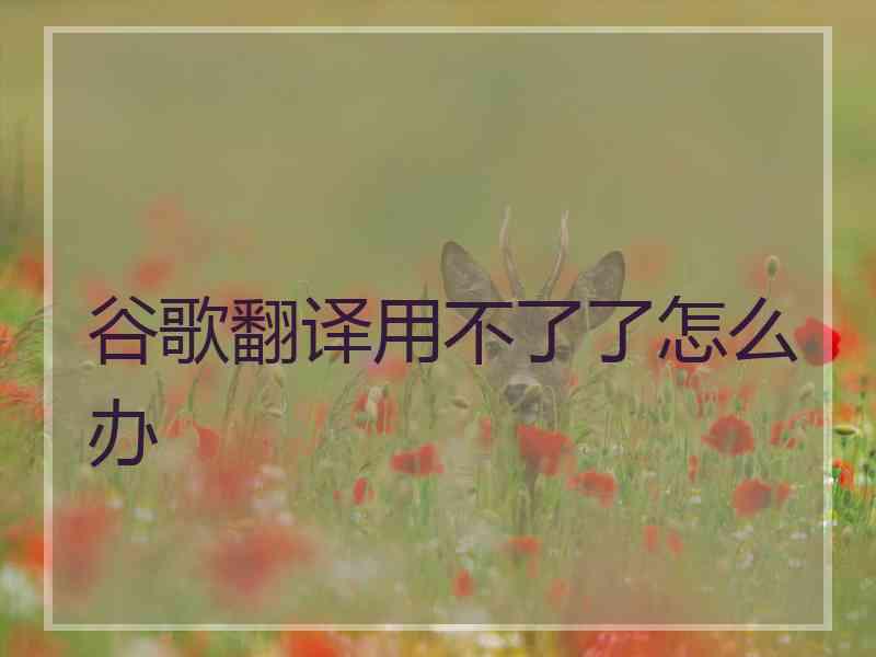 谷歌翻译用不了了怎么办