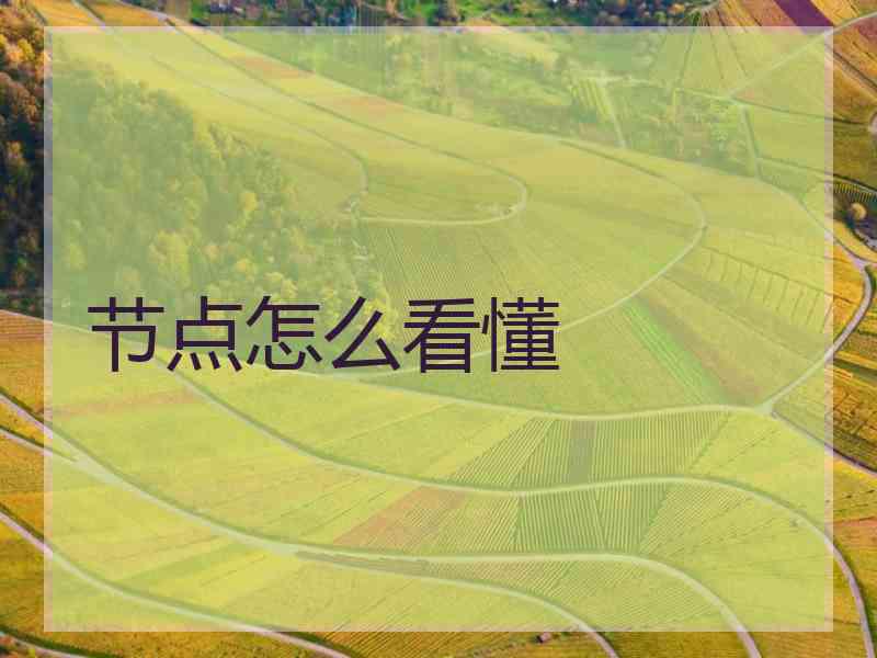 节点怎么看懂