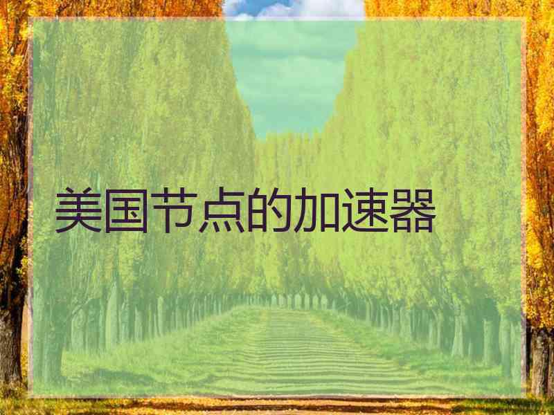 美国节点的加速器