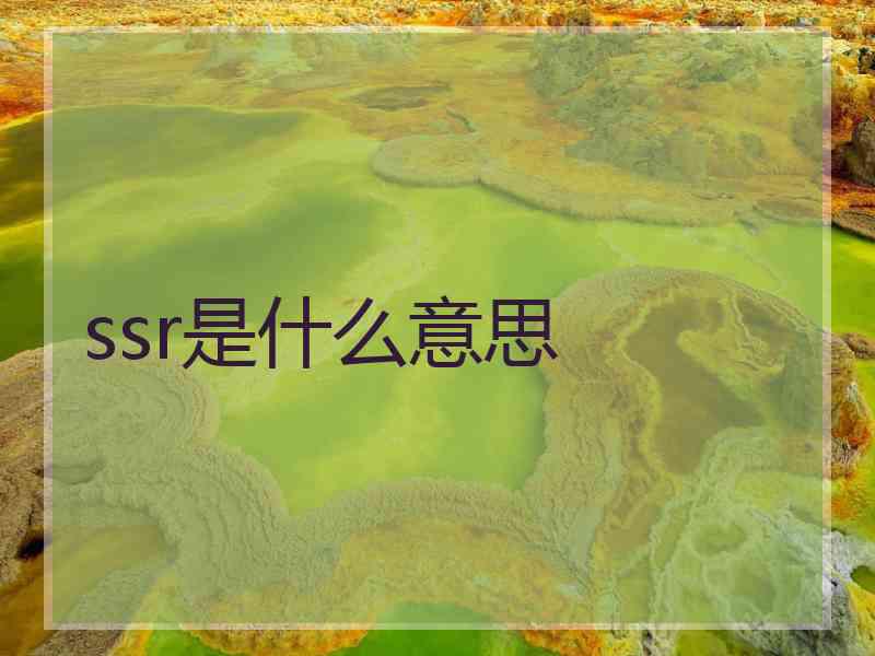 ssr是什么意思