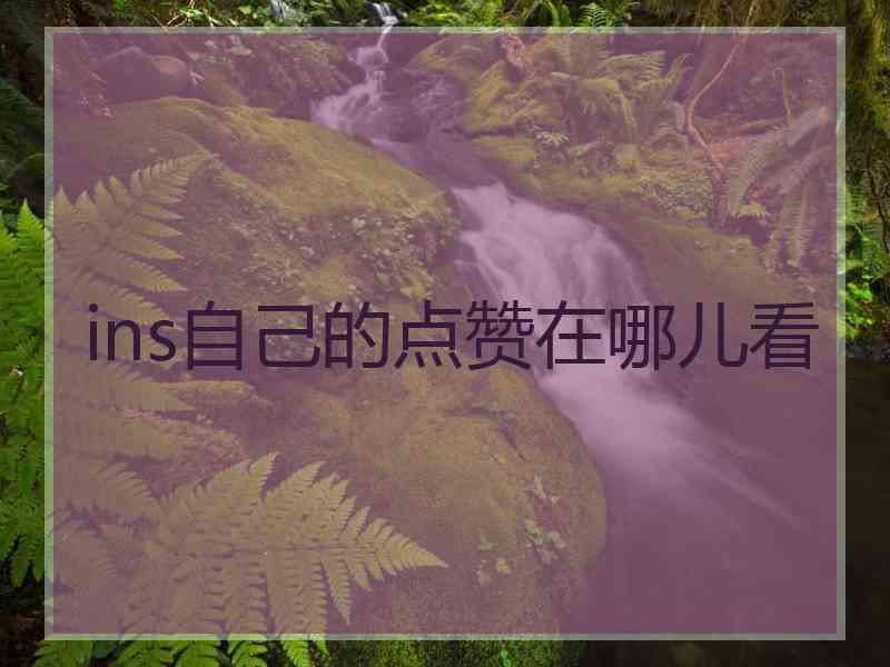 ins自己的点赞在哪儿看