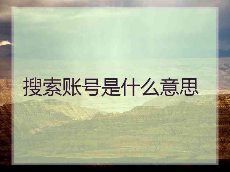 搜索账号是什么意思