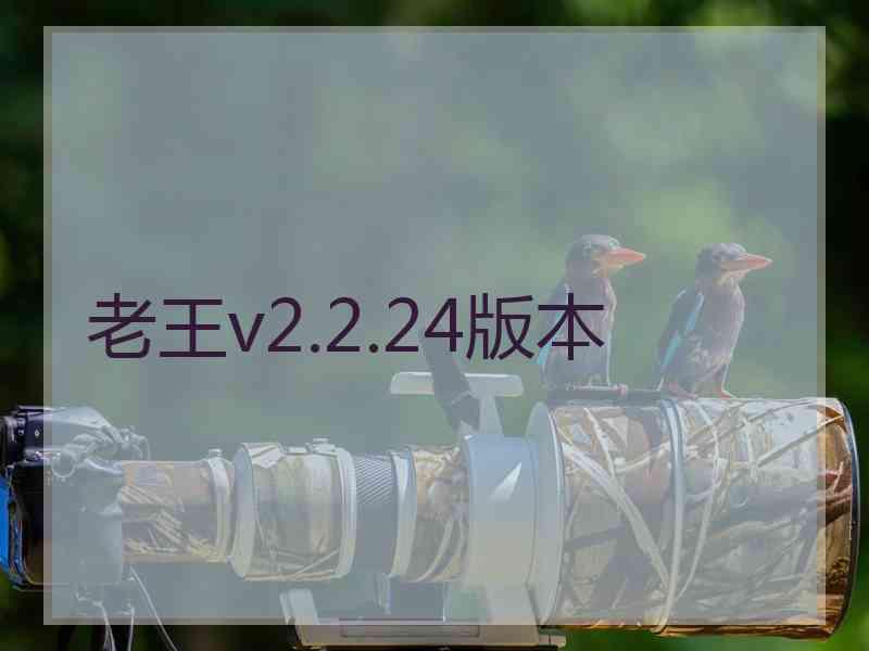老王v2.2.24版本