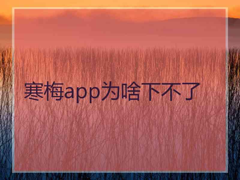 寒梅app为啥下不了