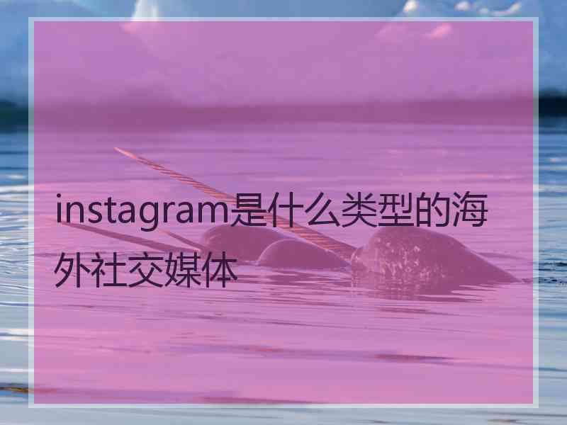 instagram是什么类型的海外社交媒体