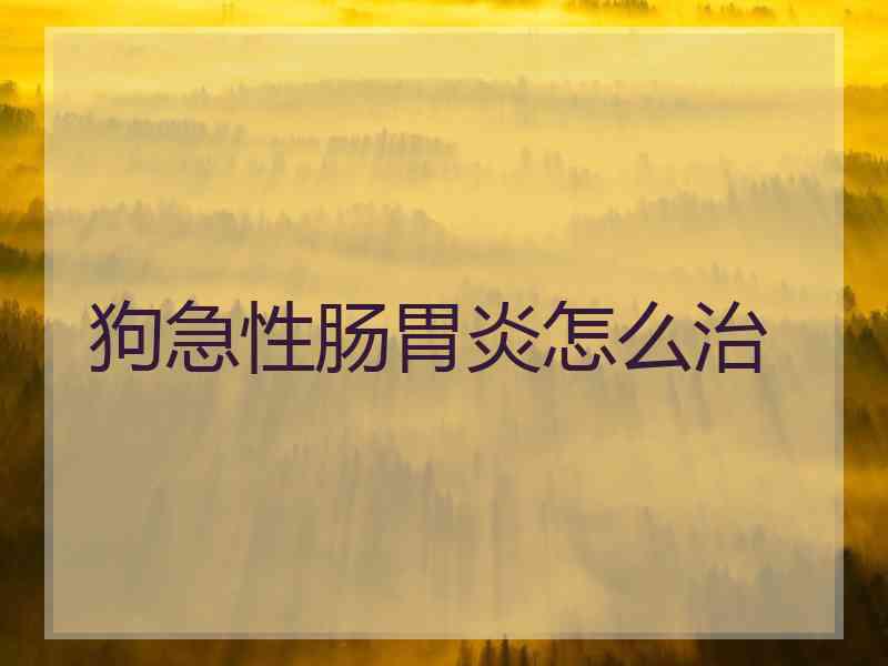 狗急性肠胃炎怎么治