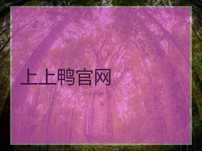 上上鸭官网