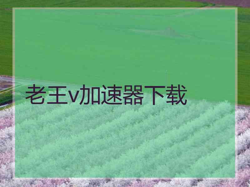 老王v加速器下载